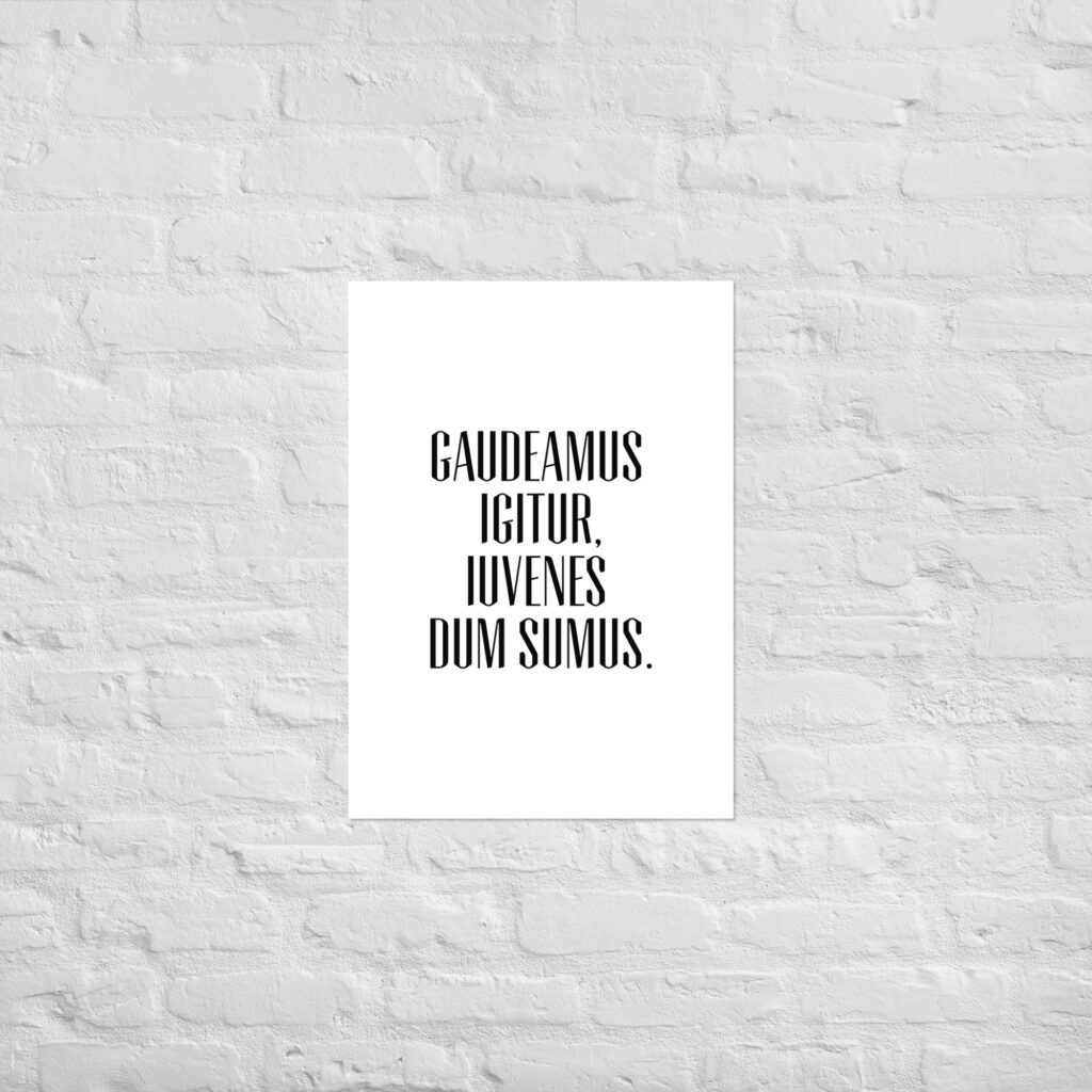 Poster Gaudeamus Igitur – Bild 6