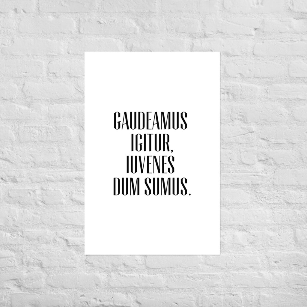 Poster Gaudeamus Igitur – Bild 7